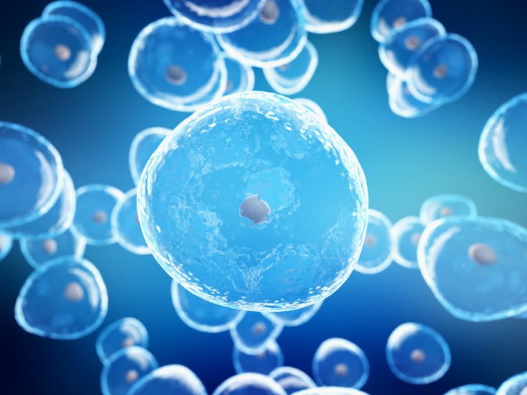 What is cell and gene therapy?