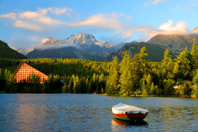 Medicover Integrated Clinical Services (MICS)