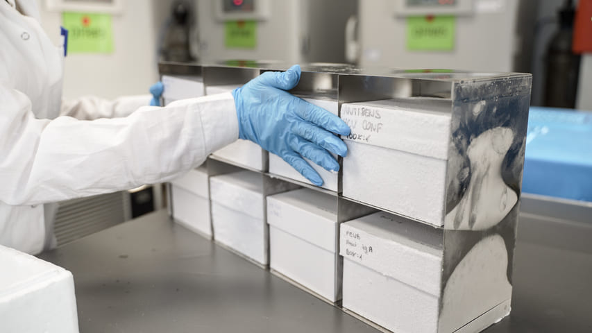 Sample Logistics & Management